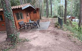 Cabanita De Madera En Mas Coguleras